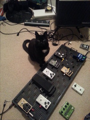 The mastermind setting up my pedalboard for me.