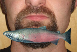 salmon_slivers.jpg